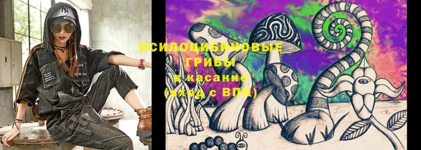 дурь Алексеевка
