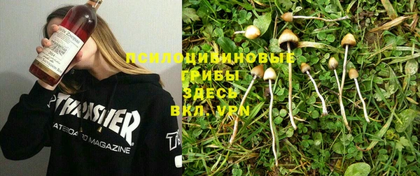 бошки Алзамай